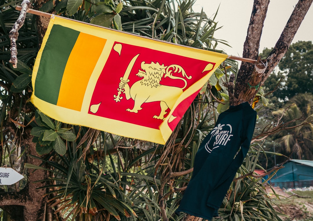 Photo beach flag