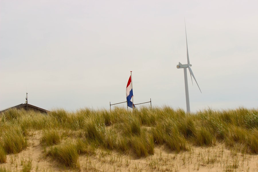 Photo beach flag